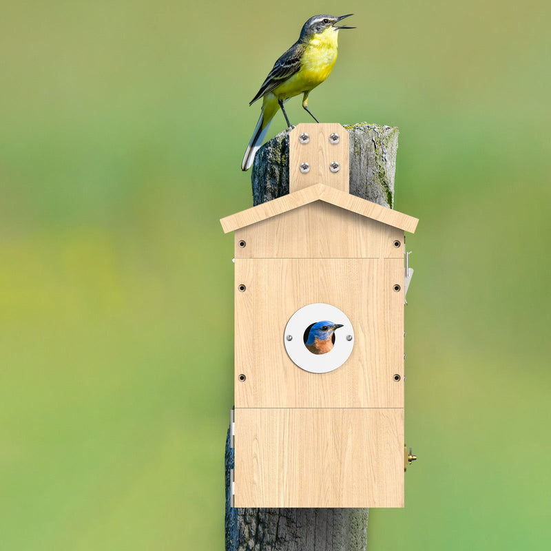 Vogel Nistkasten mit Kamera Sanilu Sanilu