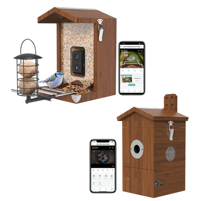 Vogelhaus mit Kamera
