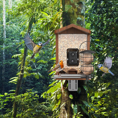 Nistkasten mit Kamera & Futterhaus mit Kamera – Komplettset