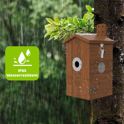 Nistkasten mit Kamera & Futterhaus mit Kamera – Komplettset