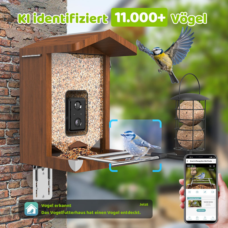 Vogelfutterhaus mit Kamera
