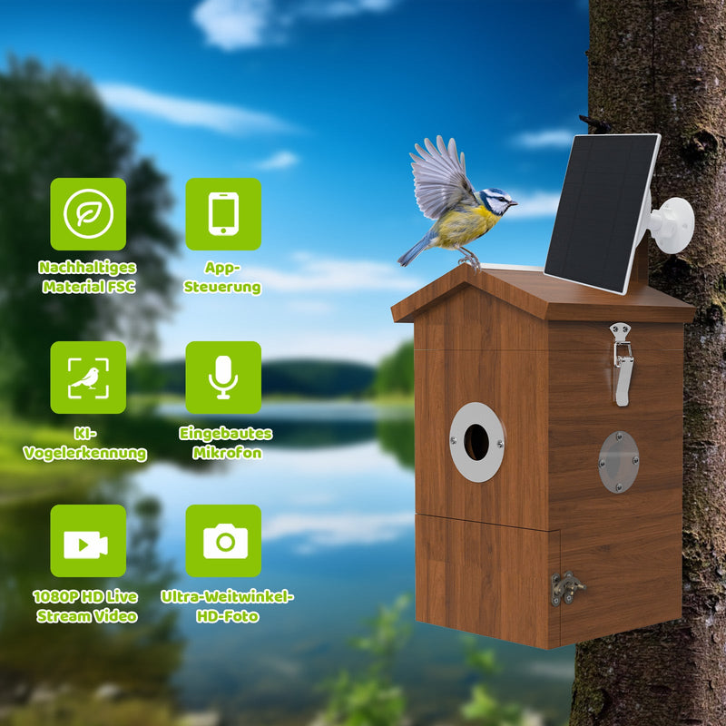 Vogel Nistkasten mit Kamera