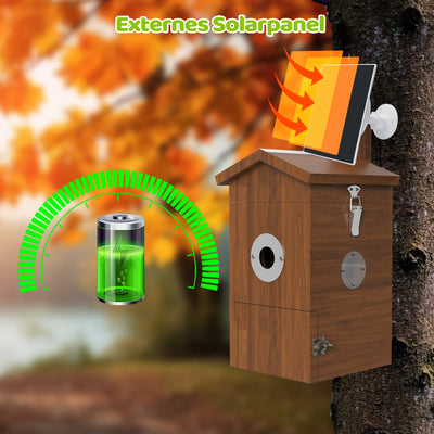 Nistkasten mit Kamera & Futterhaus mit Kamera – Komplettset