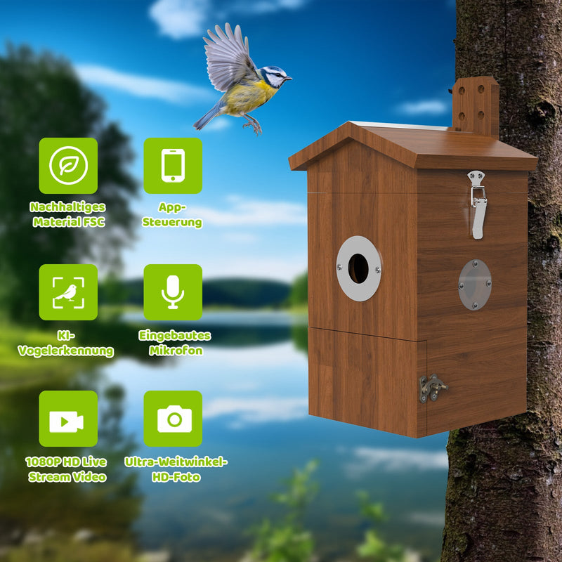 Vogel Nistkasten mit Kamera