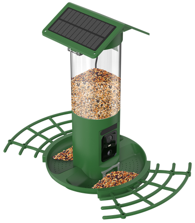 Vogelfutterstation DualCam Nahaufnahme ohne Hintergrund
