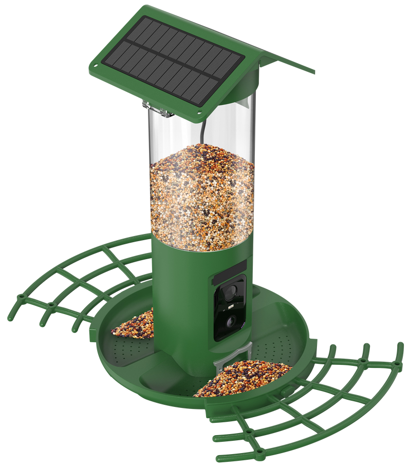 Vogelfutterstation DualCam Nahaufnahme ohne Hintergrund