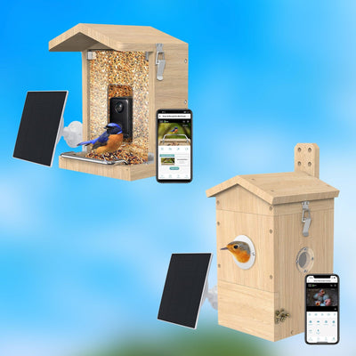 Bird house with camera