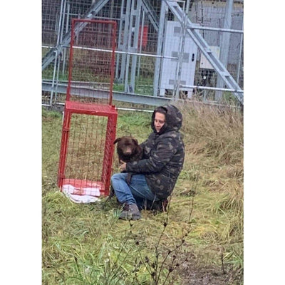 Helfen Sie mit einer Spende Strassenhunden in Not! Sanilu Sanilu